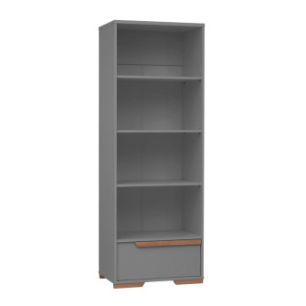 Armario de libros (Colección Woodsy)